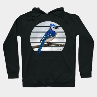 Blue Jay Winter Snow Bird Watching Birding Ornithologist Gift Hoodie